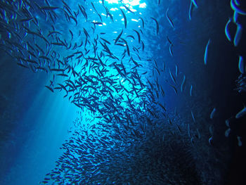 Full frame shot of water