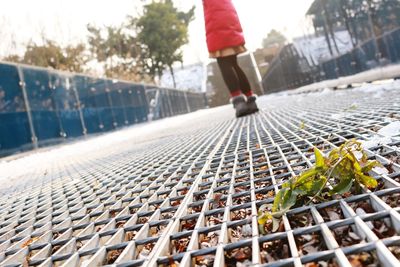 Low section of person on road