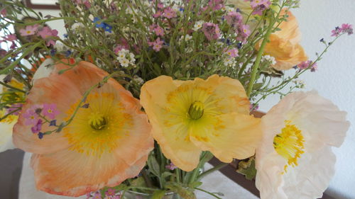 Close-up of fresh yellow flowers blooming in garden