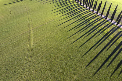 High angle view of agricultural field