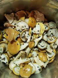 Marinating mushrooms