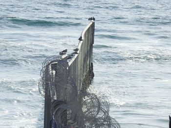 Wooden post in sea