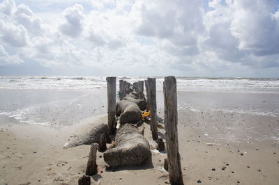 Wooden posts on beach against sky