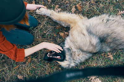 Woman with dog on field