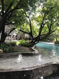 Scenic view of waterfall in park