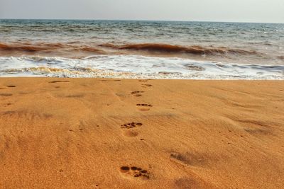 High angle view of footprints at beach against sky