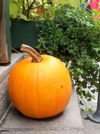 Close-up of pumpkin against orange wall