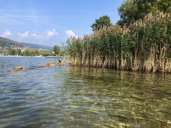 Scenic view of river against sky