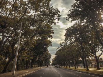 Road amidst trees against sky