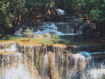 View of waterfall in forest