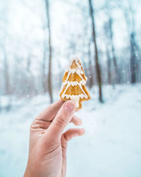 Cropped hand holding gingerbread cookie against trees