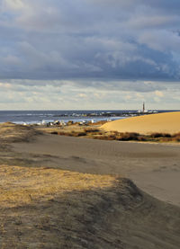 Scenic view of beach against sky