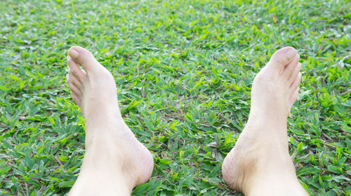 Low section of woman on grass