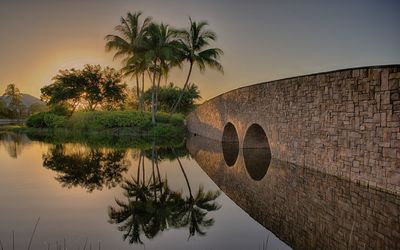 Reflection of palm tree and bridge in lake
