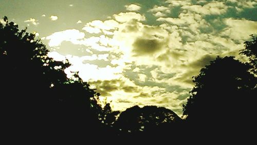 Low angle view of silhouette trees against sky during sunset