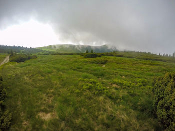 Scenic view of field against sky