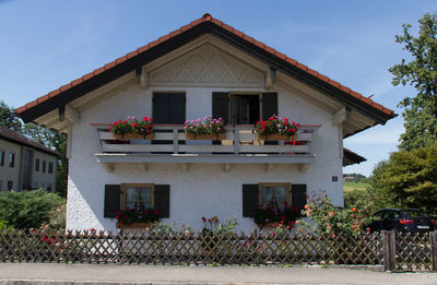 Potted plants against building