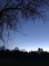 Low angle view of silhouette trees against clear sky