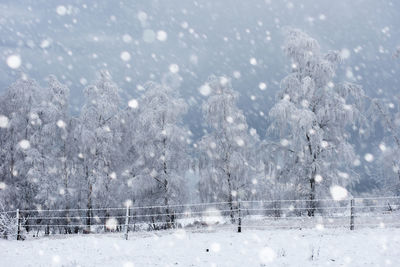 Scenic view of trees against cloudy sky during snowfall