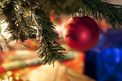 Close-up of christmas tree