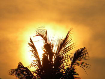 Low angle view of silhouette palm tree against sky