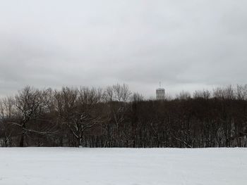 Bare trees on field against sky during winter