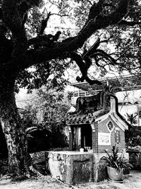 Built structure with trees in background