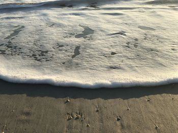 High angle view of beach