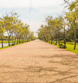 Walkway amidst trees against sky