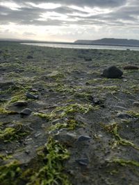 Close-up of sea against sky