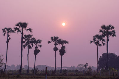 Scenic view of field against sky during sunset