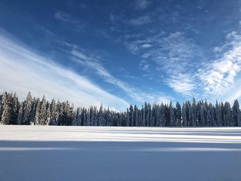 Scenic view of snow covered land against sky