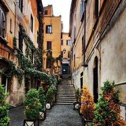 Narrow alley amidst buildings in city
