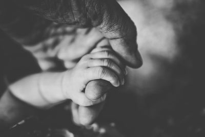 Cropped hand of baby holding finger