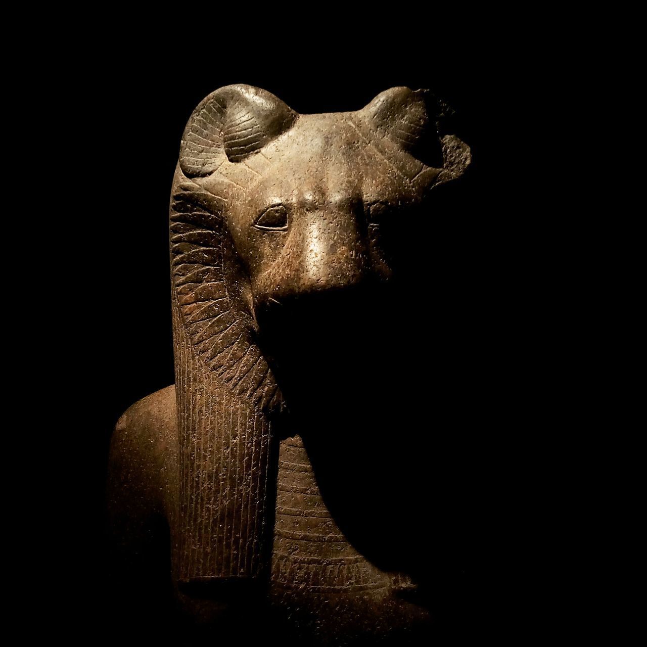 CLOSE-UP OF ELEPHANT IN BLACK BACKGROUND