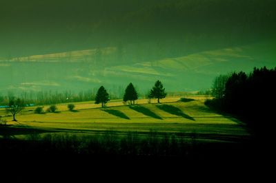 High angle view of green landscape