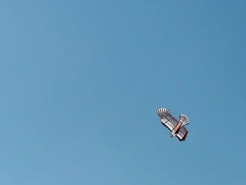Low angle view of butterfly flying in sky