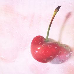 Close-up of strawberry against white background