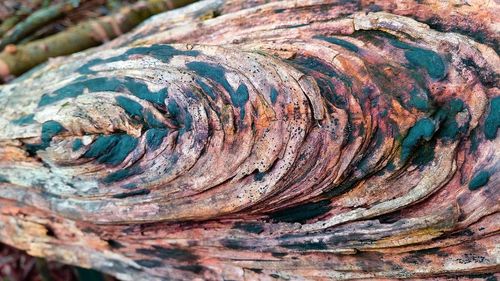 Full frame shot of wood