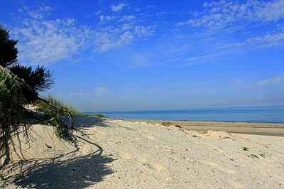 Scenic view of beach against sky