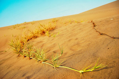 Scenic view of desert against clear sky