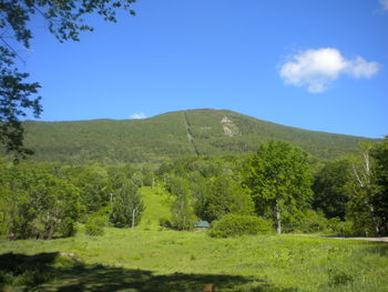 Scenic view of green landscape against clear blue sky