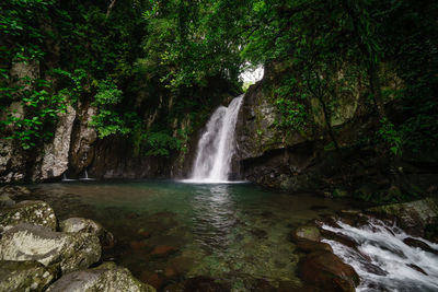 Scenic view of waterfall in forest