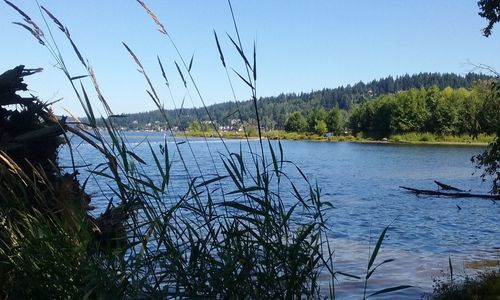Scenic view of river against clear sky