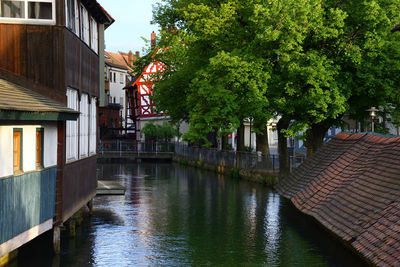 Canal amidst houses and trees in city