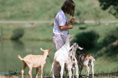 Girl feeds and plays with goats on a farm