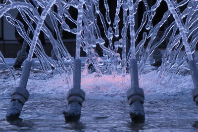 Close-up of frozen water at night