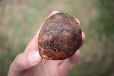 Close-up of hand holding ice cream