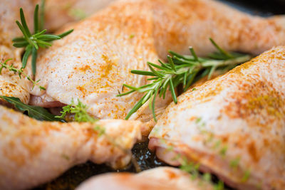 Close-up of meal served in plate