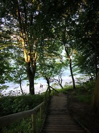 Trees by lake against sky